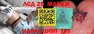 гидропоника Кунгур