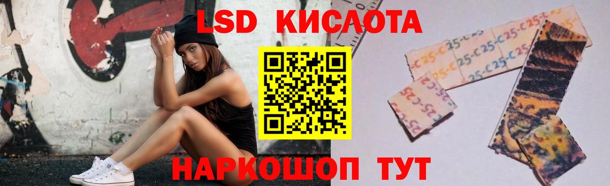 Галлюциногенные грибы Донской