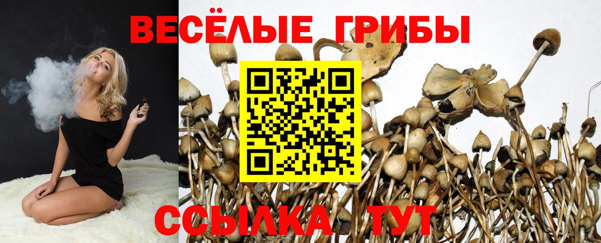 наркота  Вход с VPN  Донской  Галлюциногенные грибы ЛСД 
