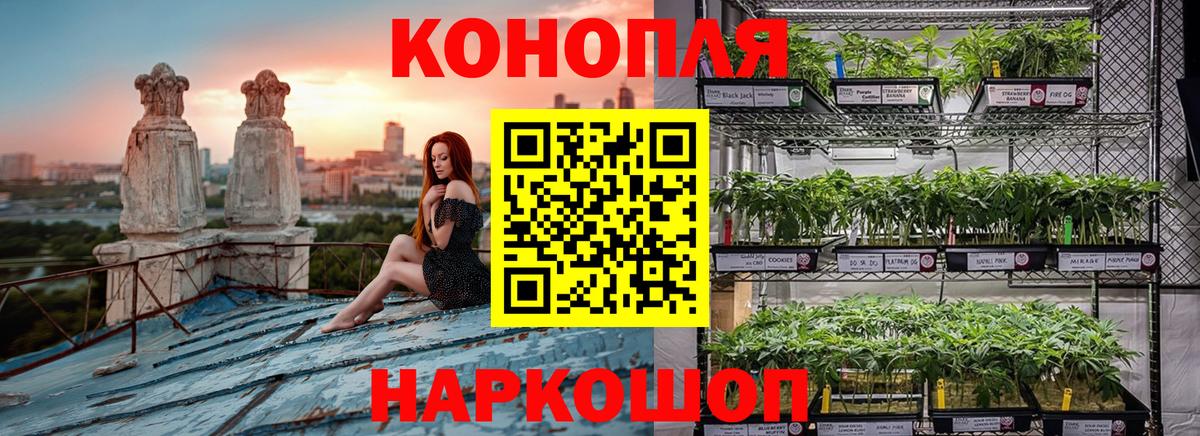 МАРИХУАНА OG Kush Донской
